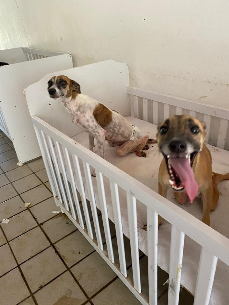 Foto de Margô e Juliete
